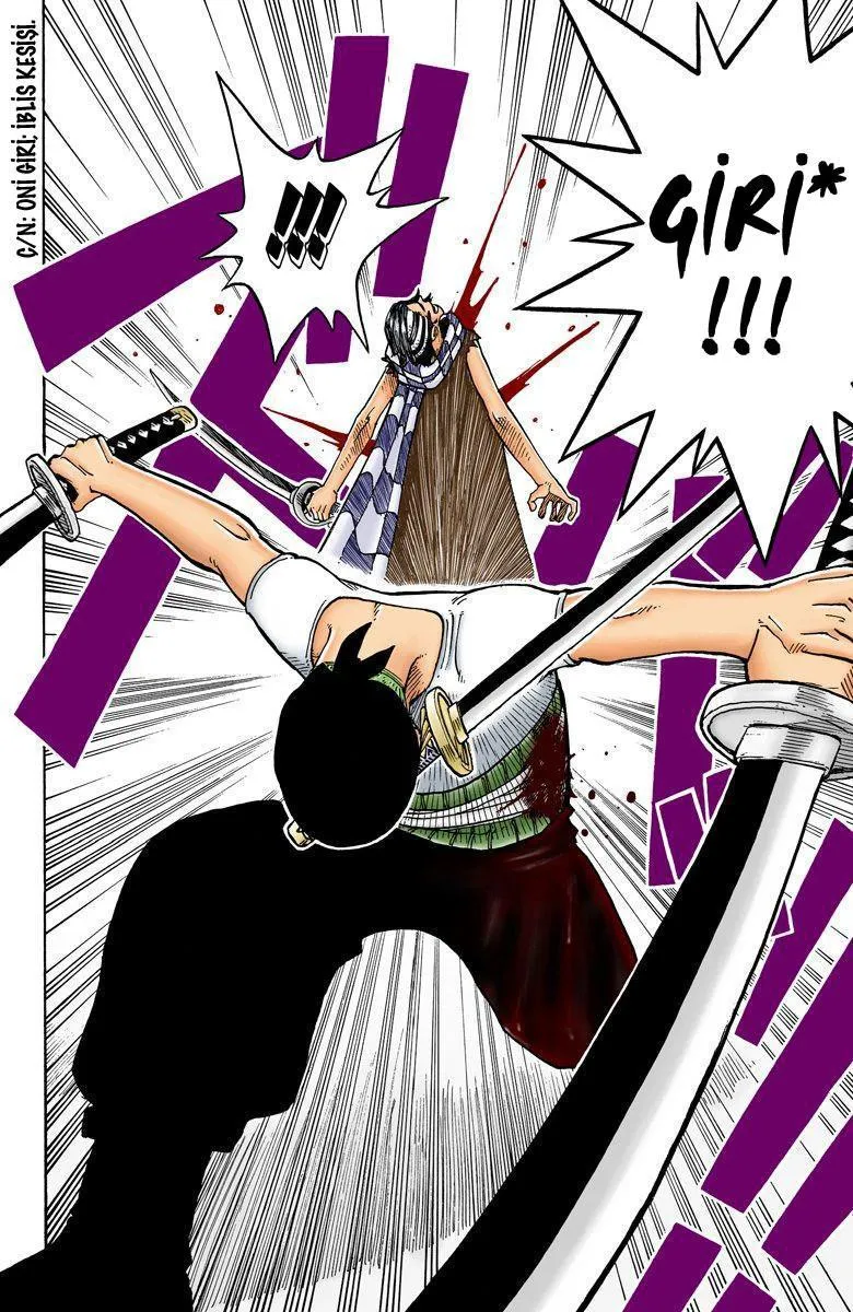 One Piece [Renkli] - Sayfa 16