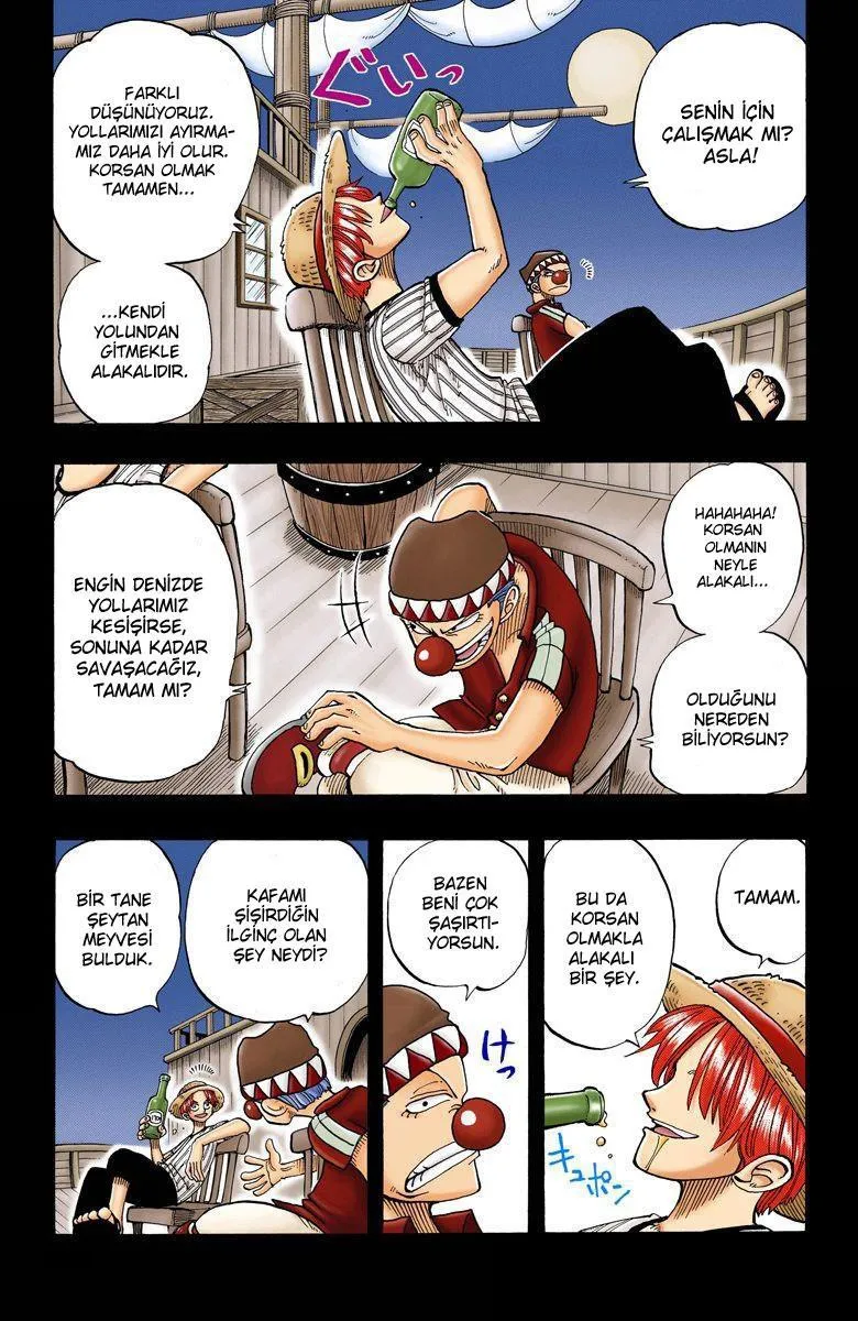 One Piece [Renkli] - Sayfa 14