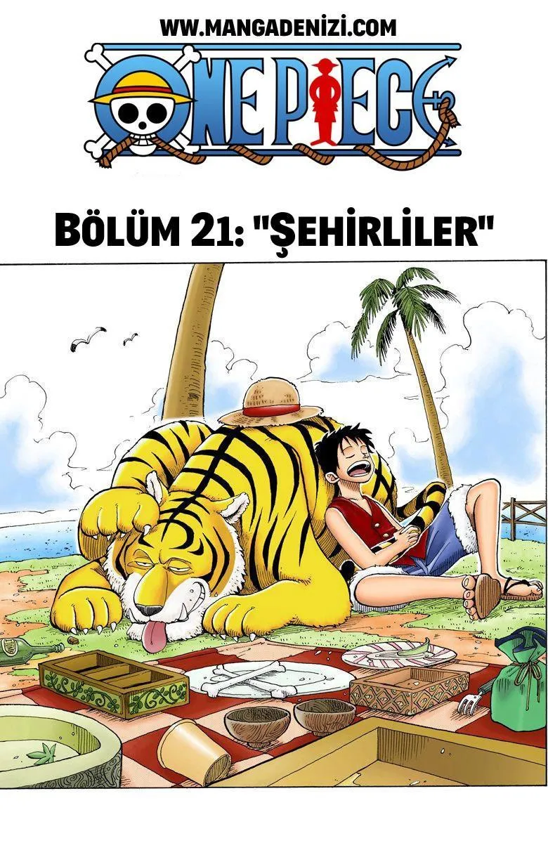 One Piece [Renkli] - Sayfa 2
