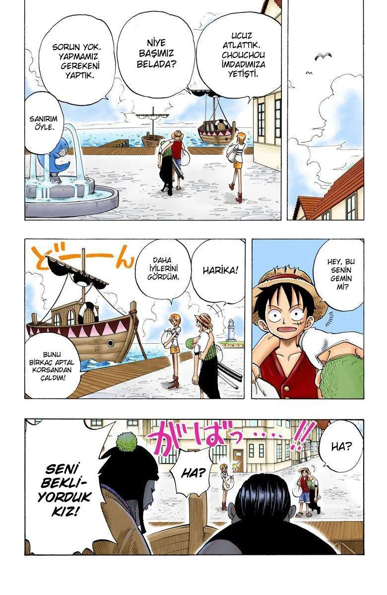 One Piece [Renkli] - Sayfa 12