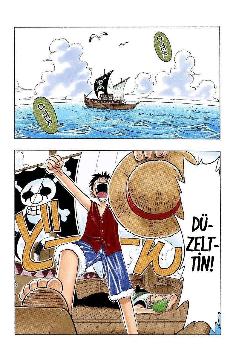 One Piece [Renkli] - Sayfa 3
