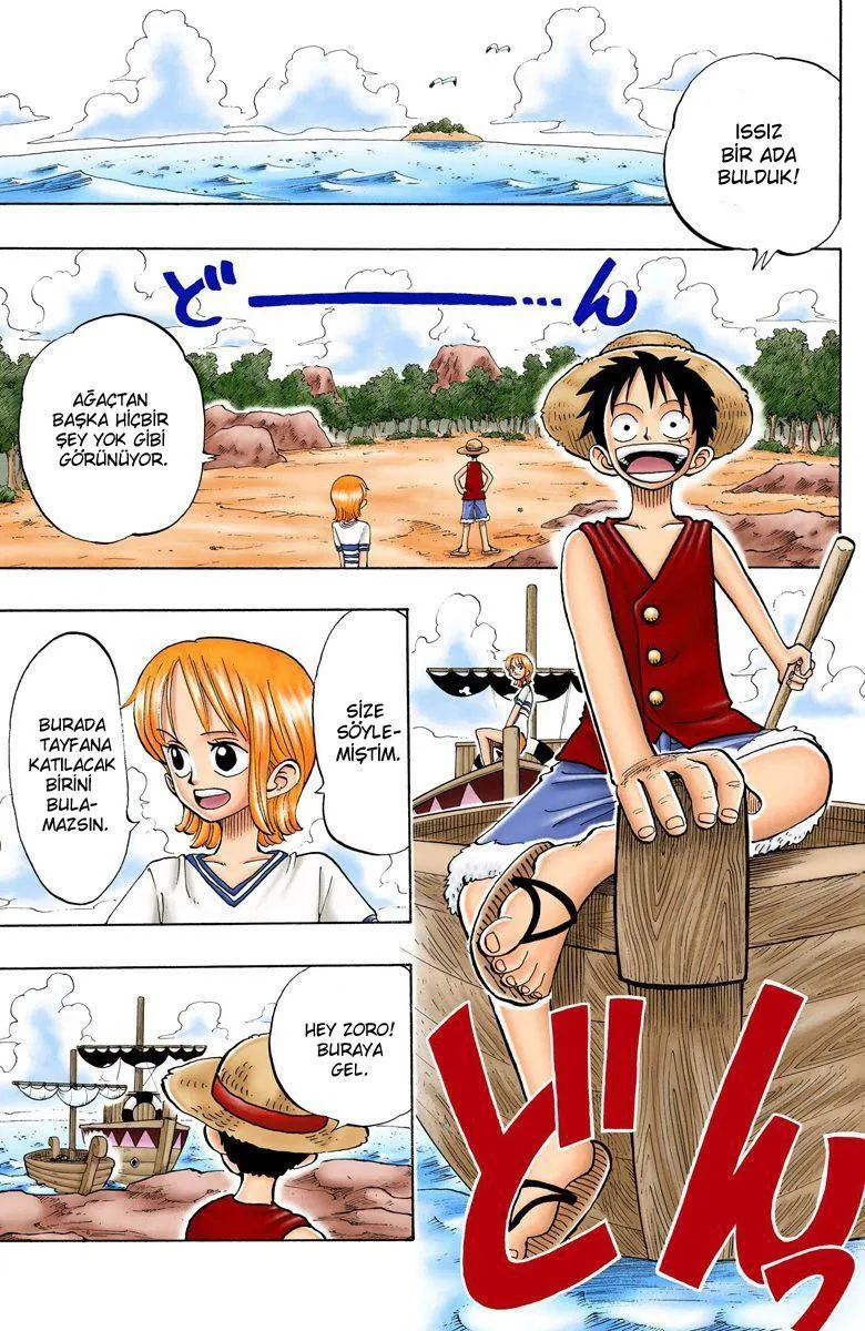 One Piece [Renkli] - Sayfa 6