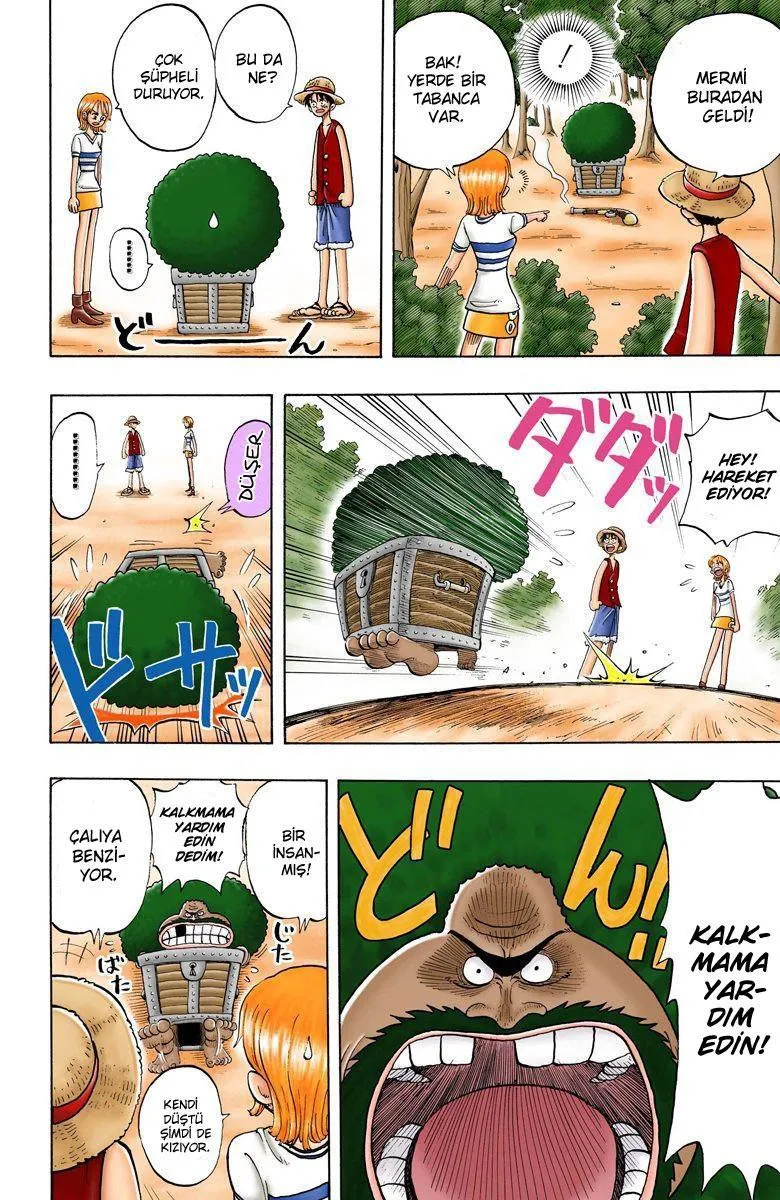 One Piece [Renkli] - Sayfa 11