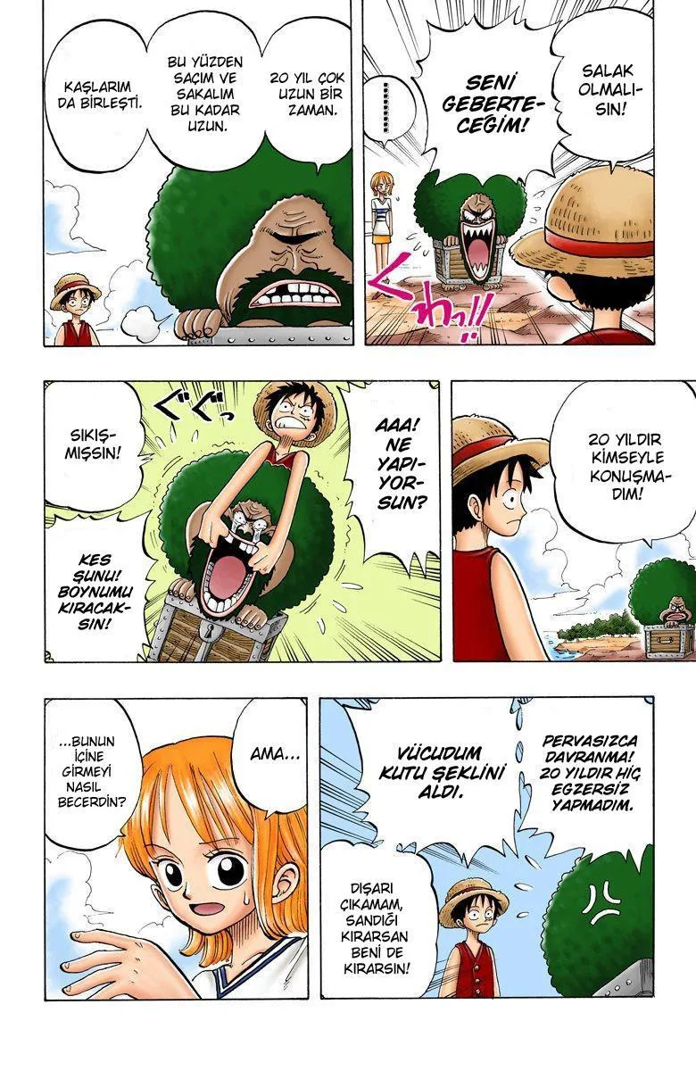 One Piece [Renkli] - Sayfa 13