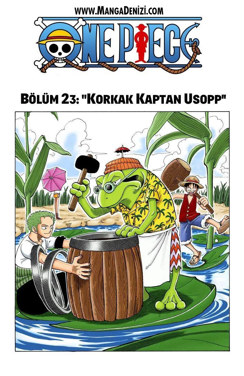 One Piece [Renkli] - Sayfa 2