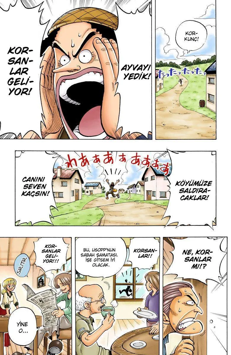 One Piece [Renkli] - Sayfa 6