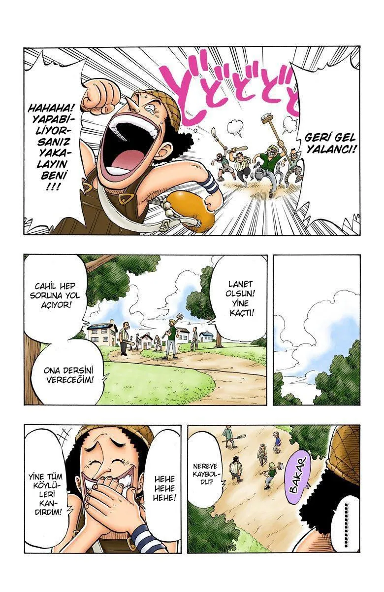 One Piece [Renkli] - Sayfa 8