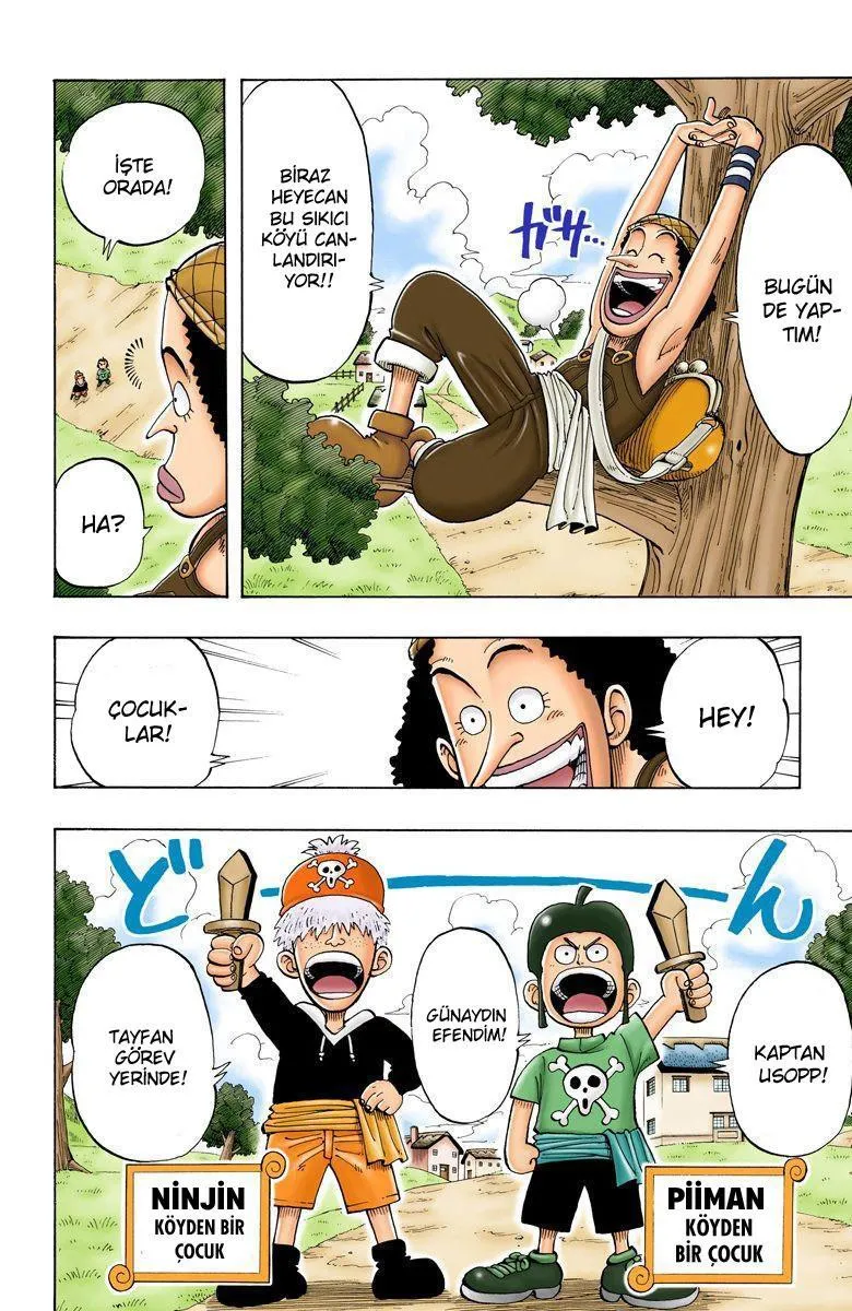 One Piece [Renkli] - Sayfa 9