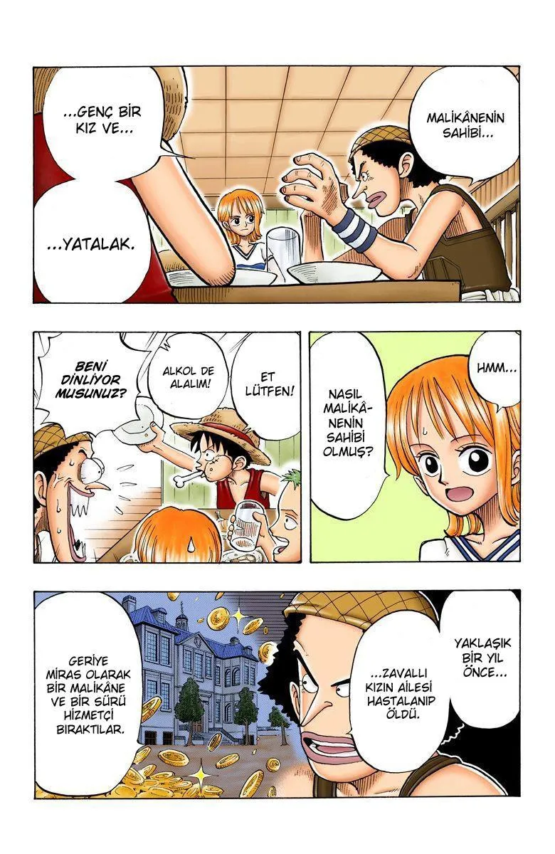 One Piece [Renkli] - Sayfa 18