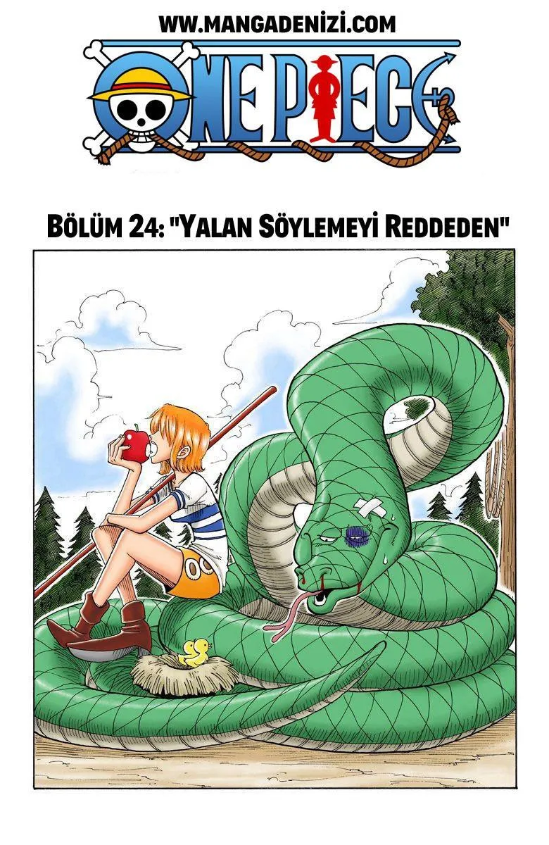 One Piece [Renkli] - Sayfa 2