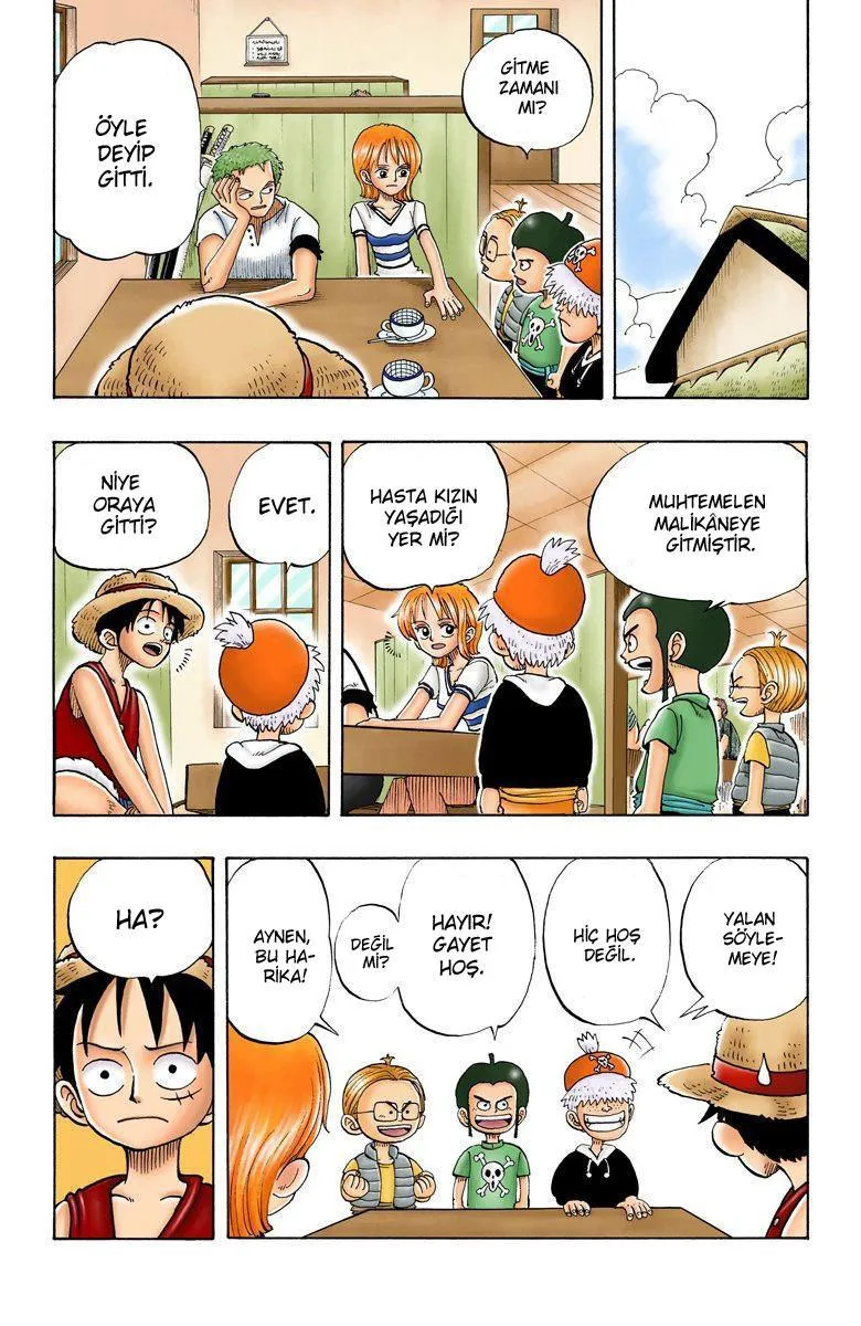 One Piece [Renkli] - Sayfa 6