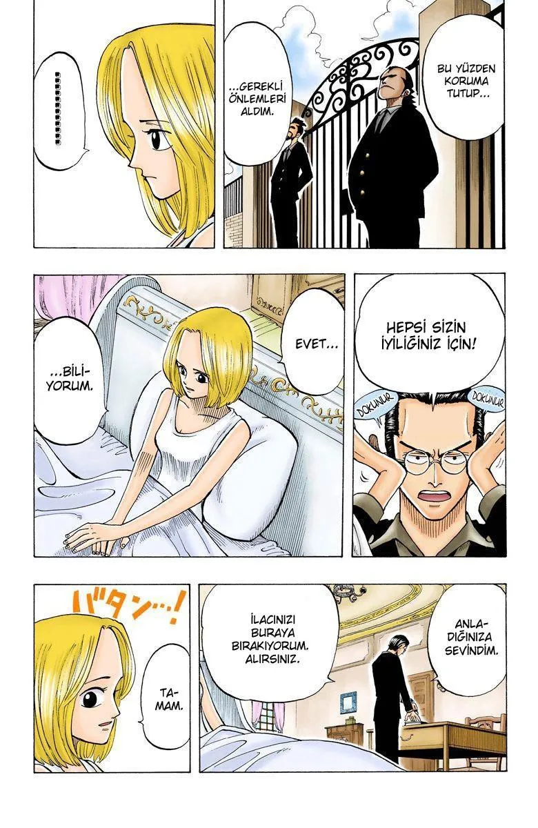 One Piece [Renkli] - Sayfa 9