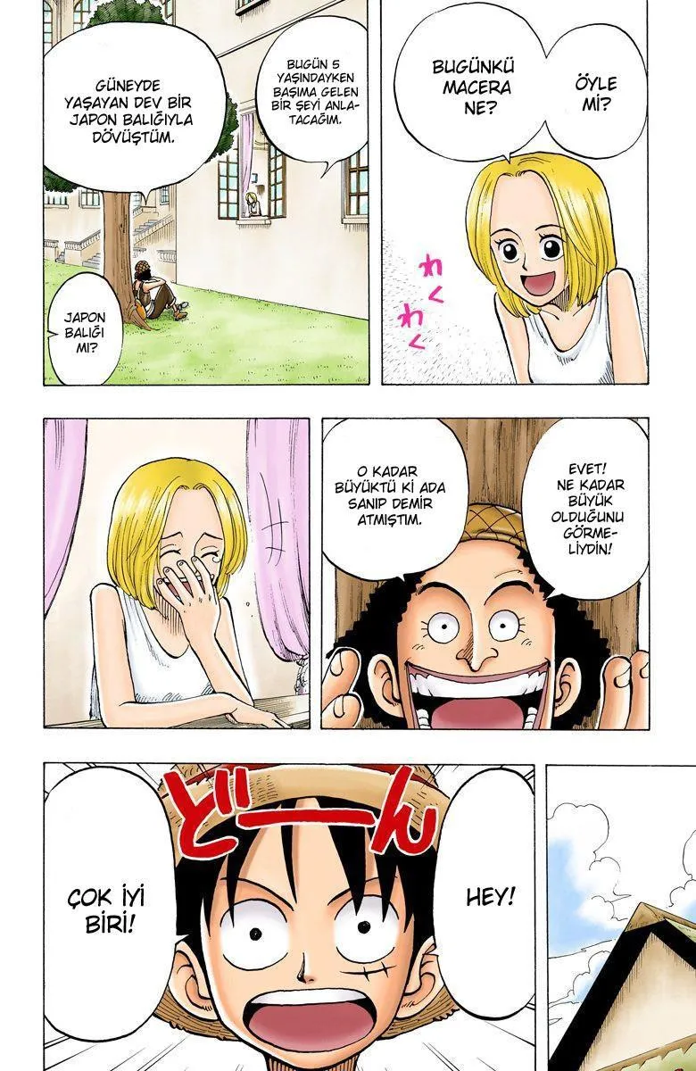 One Piece [Renkli] - Sayfa 11