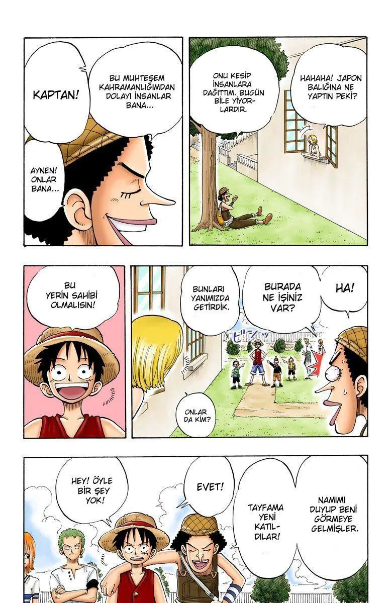 One Piece [Renkli] - Sayfa 14