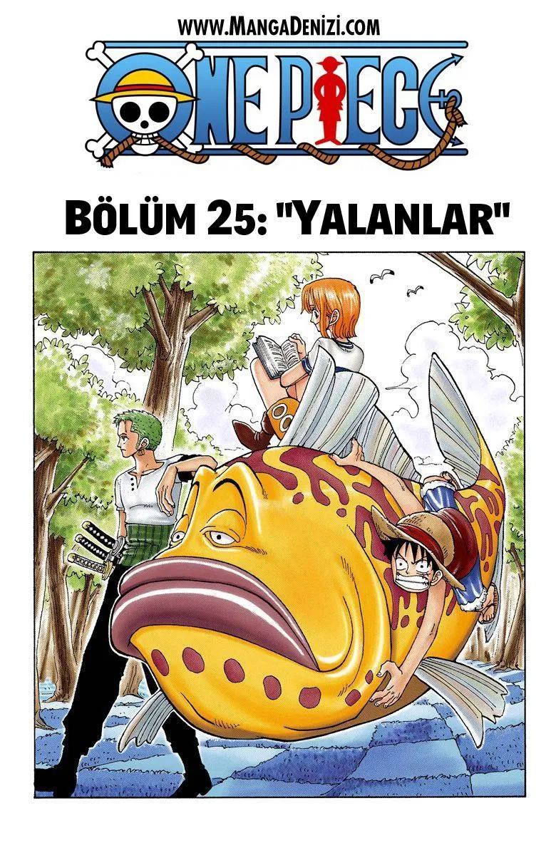 One Piece [Renkli] - Sayfa 2