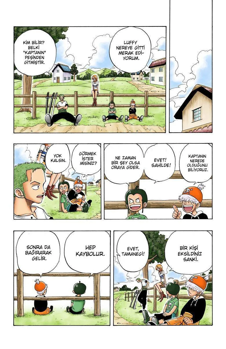 One Piece [Renkli] - Sayfa 11