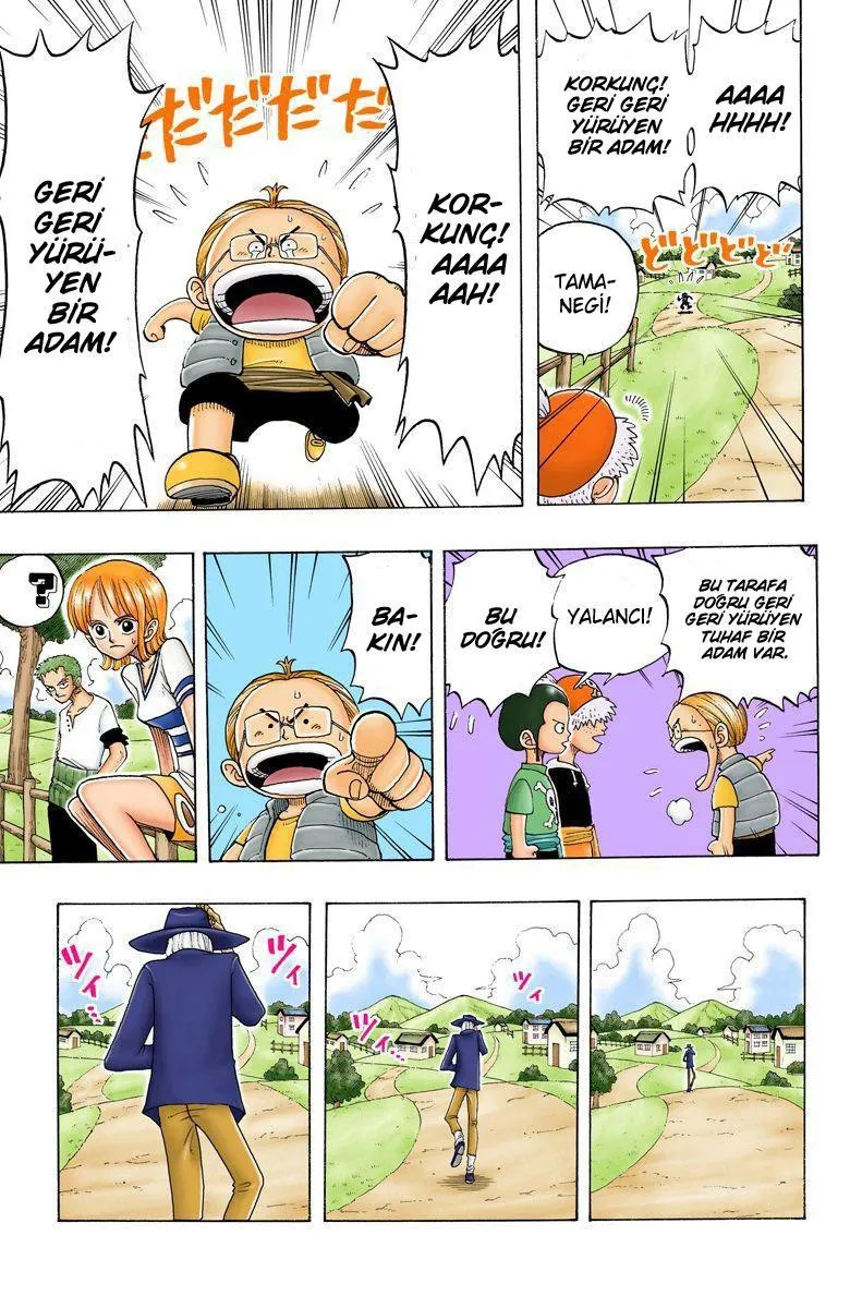 One Piece [Renkli] - Sayfa 12