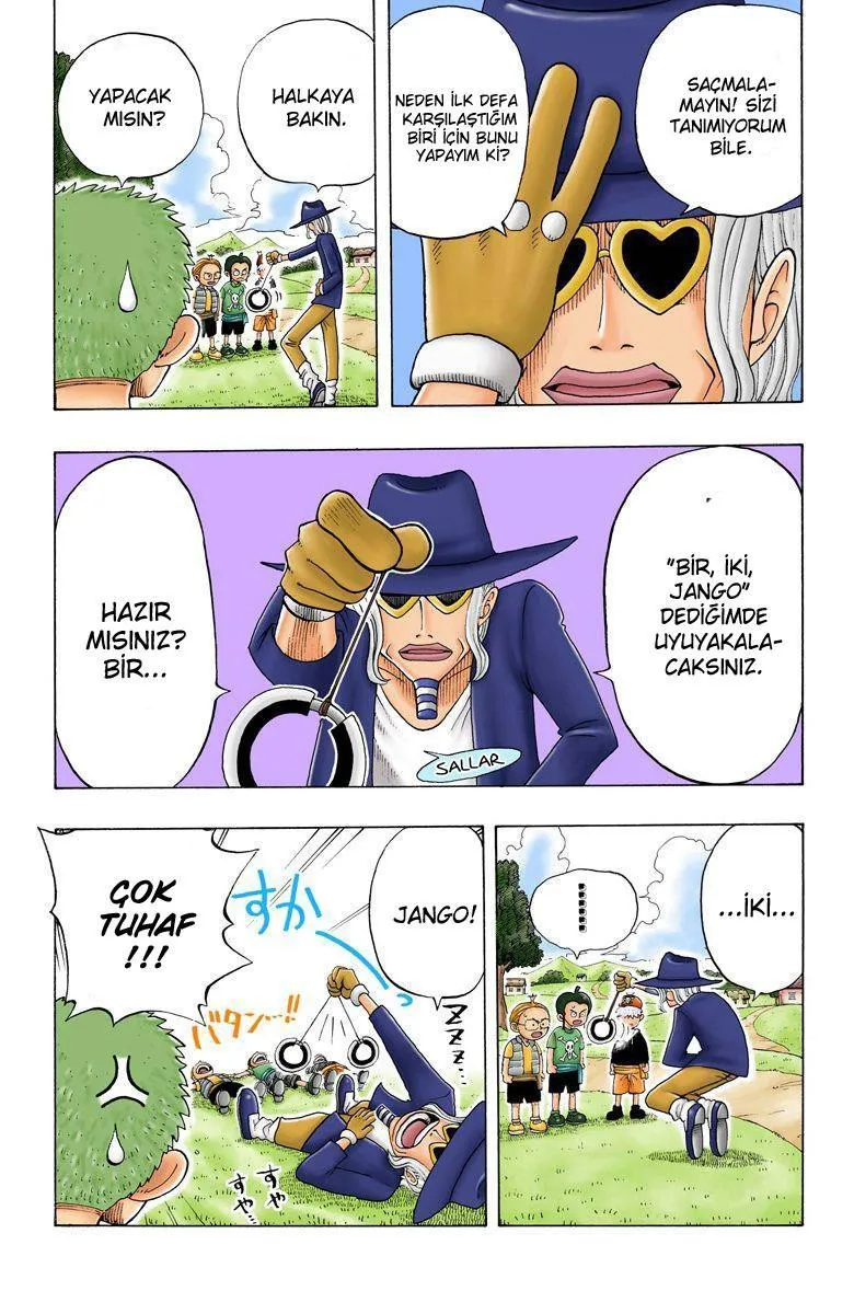 One Piece [Renkli] - Sayfa 14