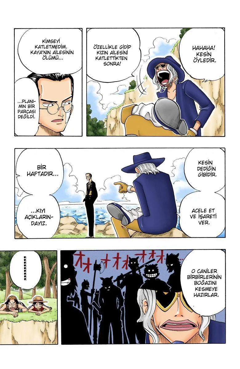 One Piece [Renkli] - Sayfa 8