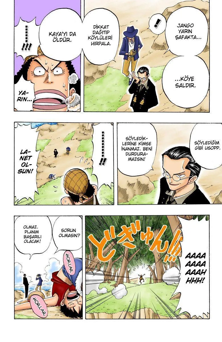 One Piece [Renkli] - Sayfa 15