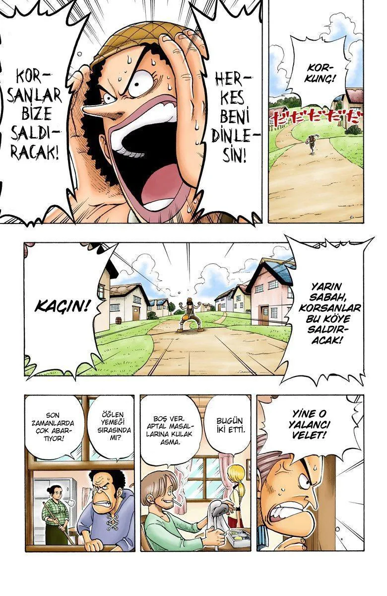 One Piece [Renkli] - Sayfa 18