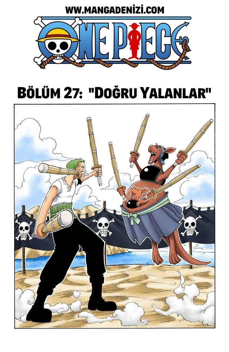 One Piece [Renkli] - Sayfa 2