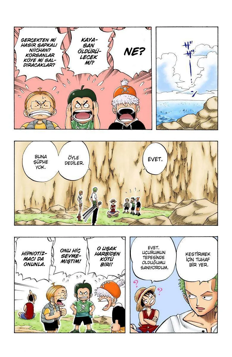 One Piece [Renkli] - Sayfa 5