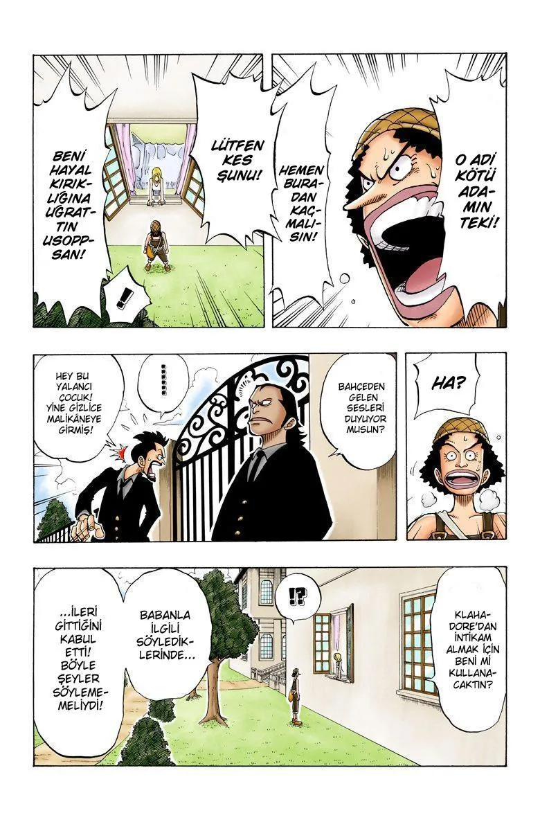 One Piece [Renkli] - Sayfa 9