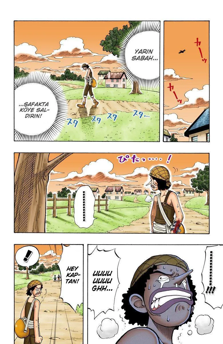 One Piece [Renkli] - Sayfa 17