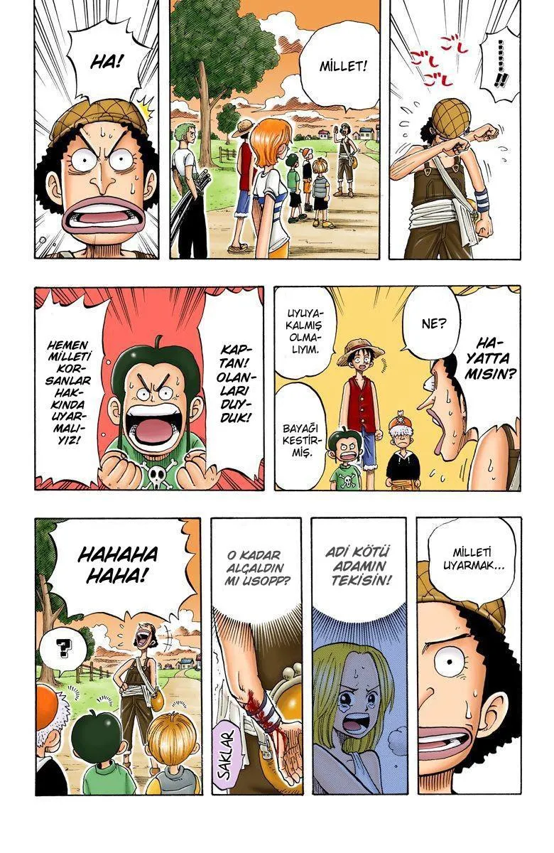 One Piece [Renkli] - Sayfa 18