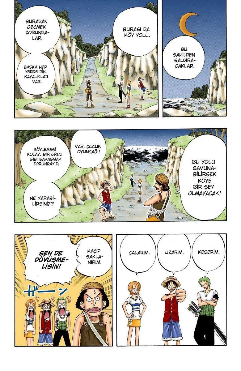 One Piece [Renkli] - Sayfa 5