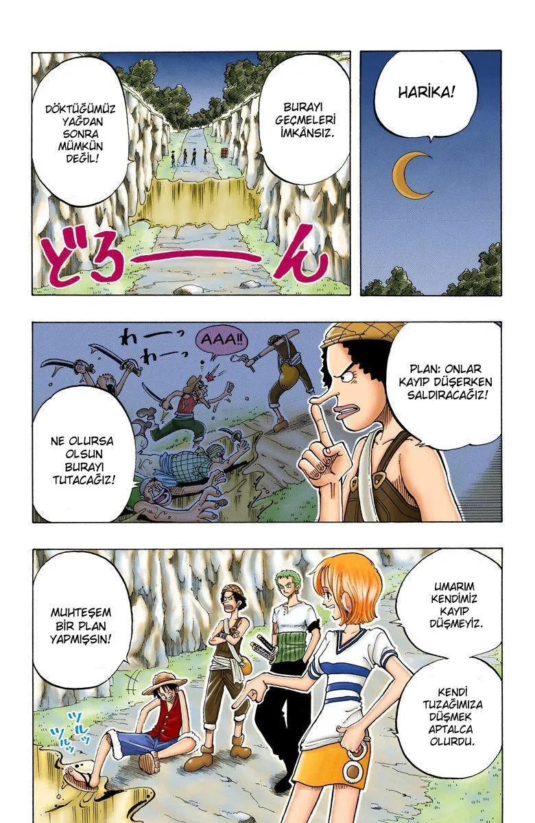 One Piece [Renkli] - Sayfa 12