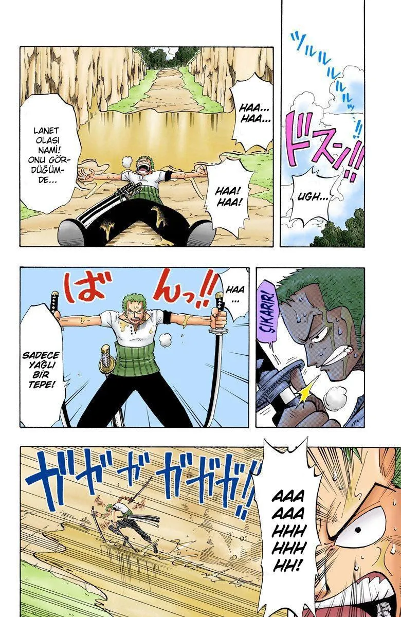 One Piece [Renkli] - Sayfa 11