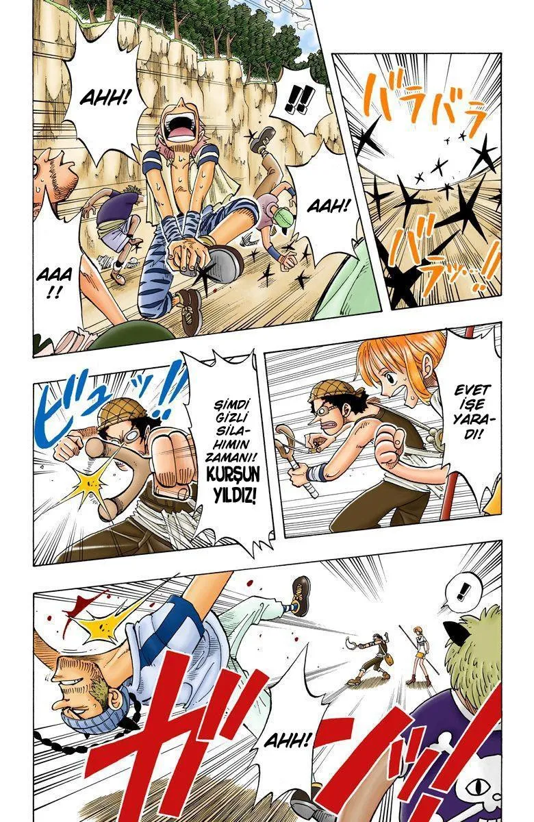 One Piece [Renkli] - Sayfa 13