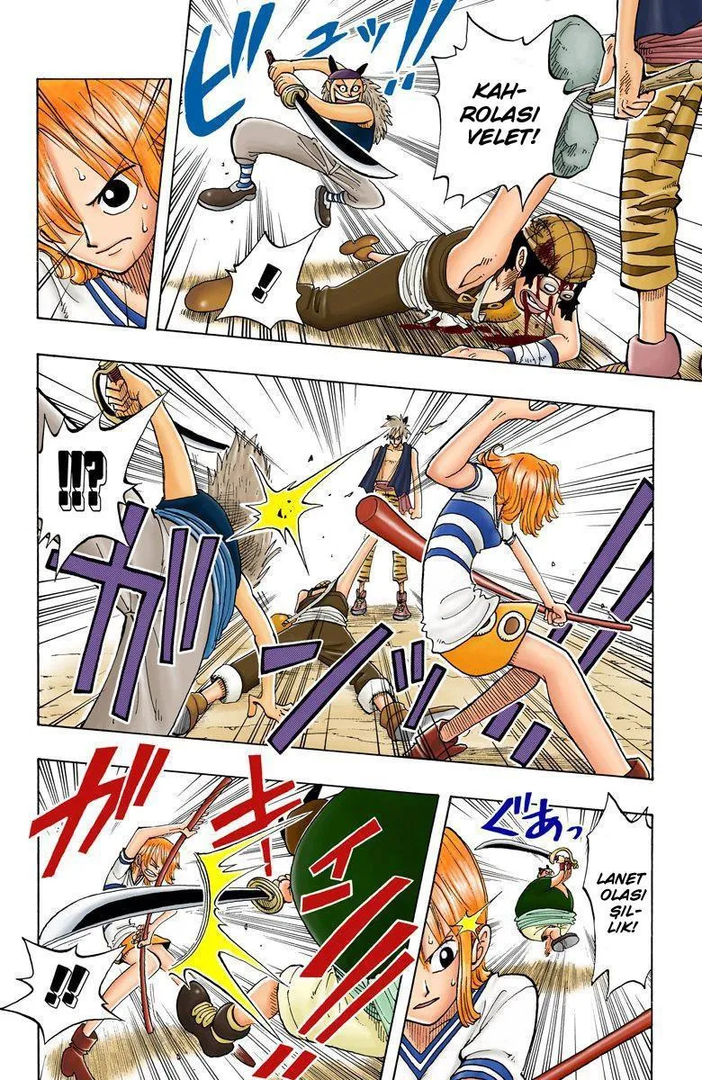 One Piece [Renkli] - Sayfa 17