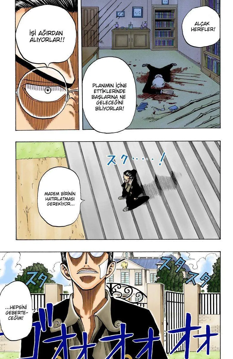 One Piece [Renkli] - Sayfa 4