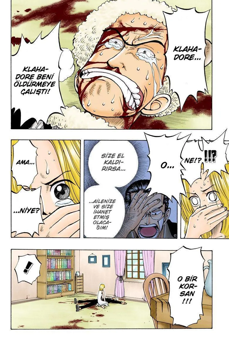 One Piece [Renkli] - Sayfa 7