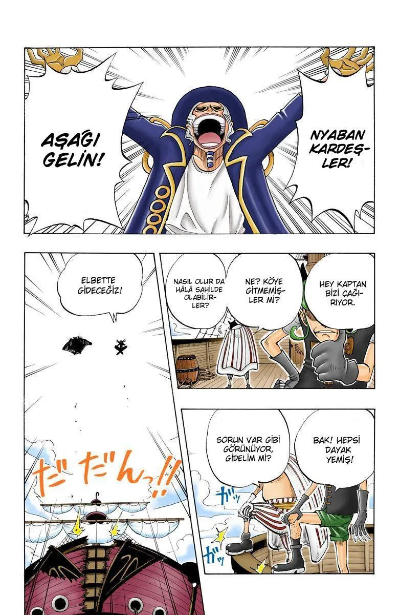 One Piece [Renkli] - Sayfa 14