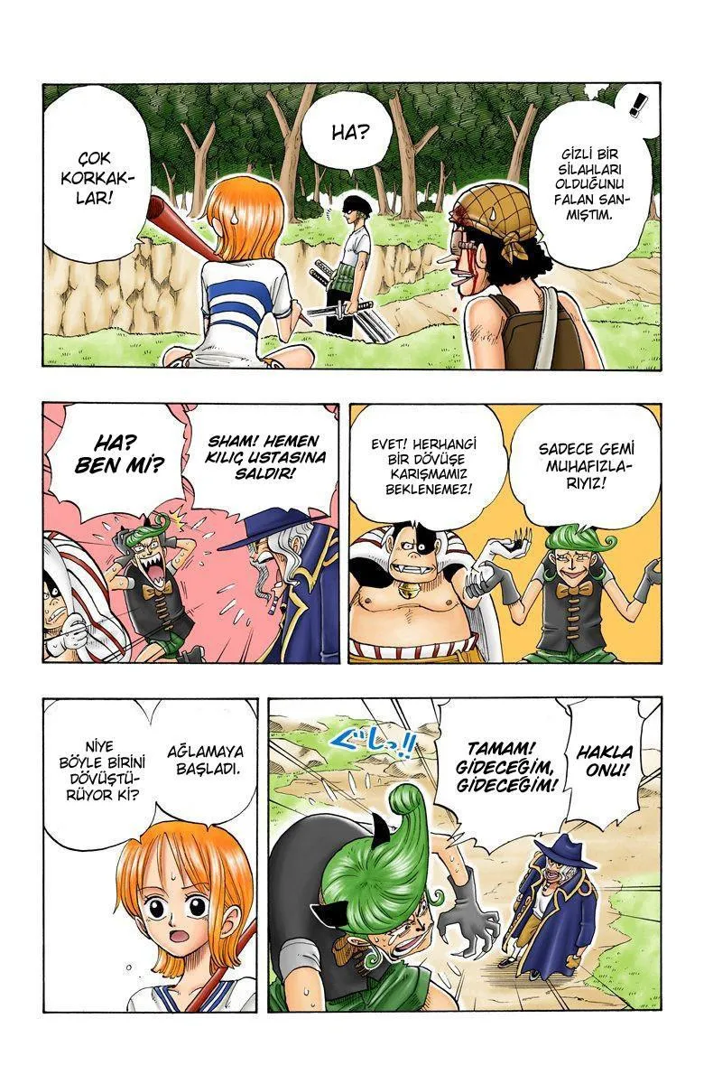 One Piece [Renkli] - Sayfa 17