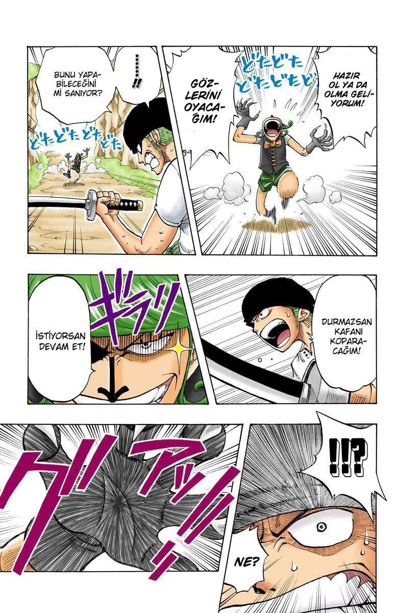 One Piece [Renkli] - Sayfa 18