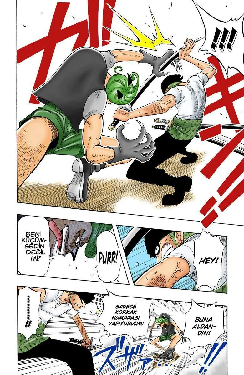 One Piece [Renkli] - Sayfa 19