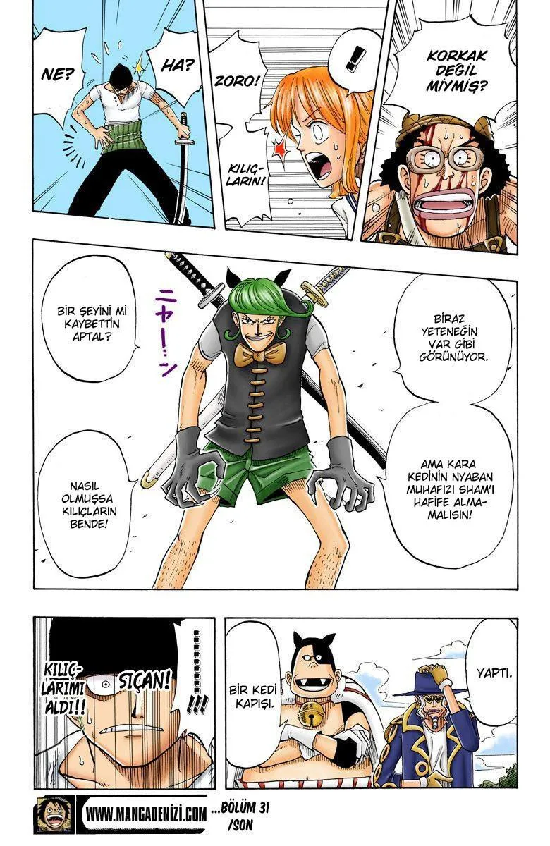 One Piece [Renkli] - Sayfa 20