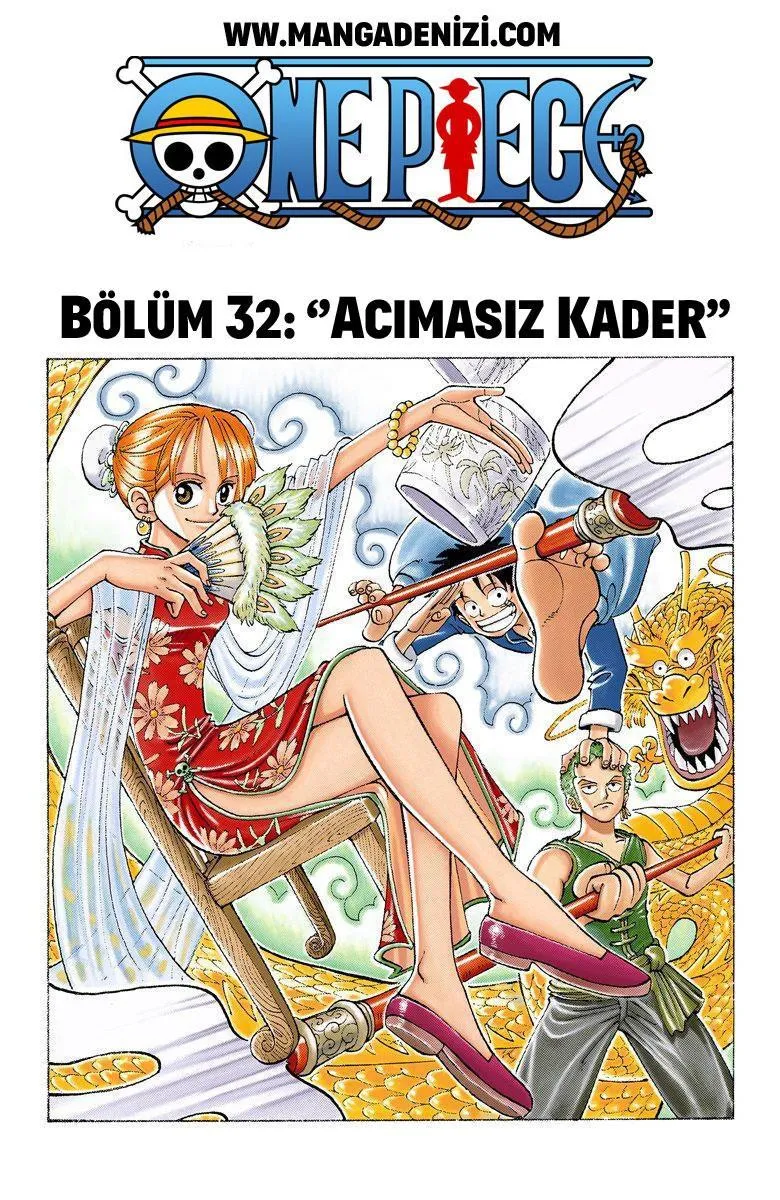 One Piece [Renkli] - Sayfa 2