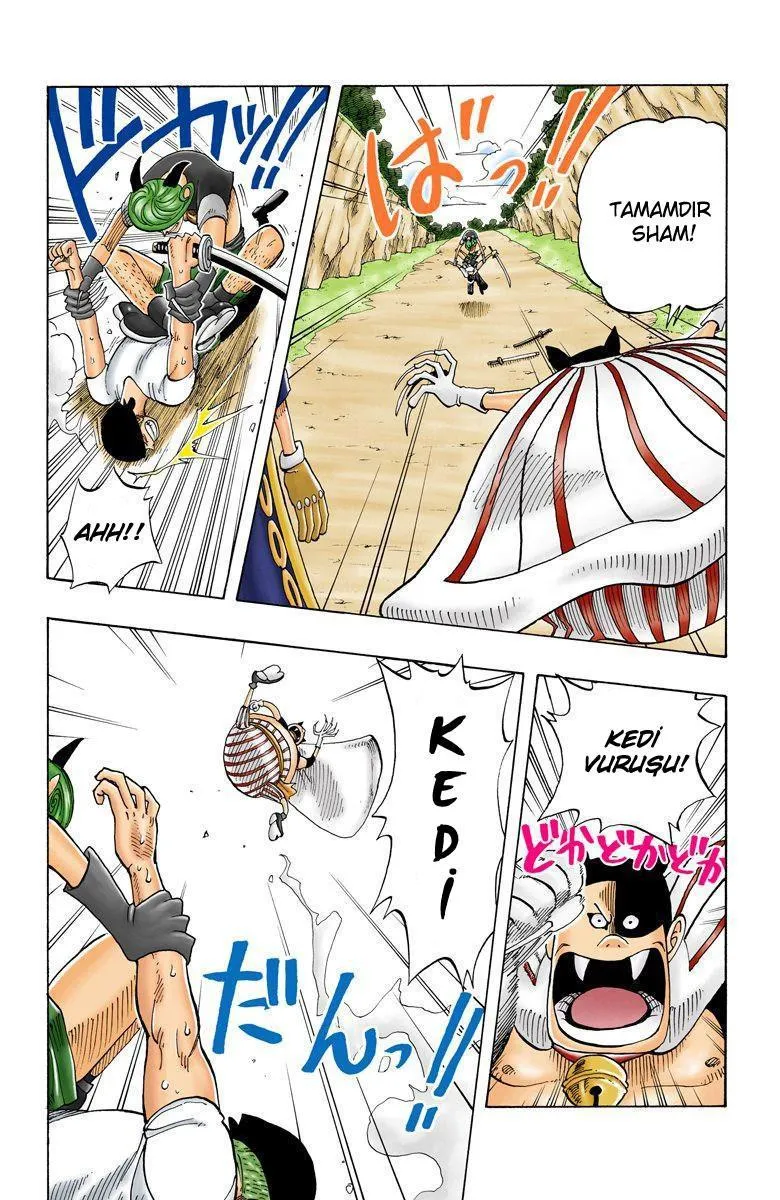 One Piece [Renkli] - Sayfa 8