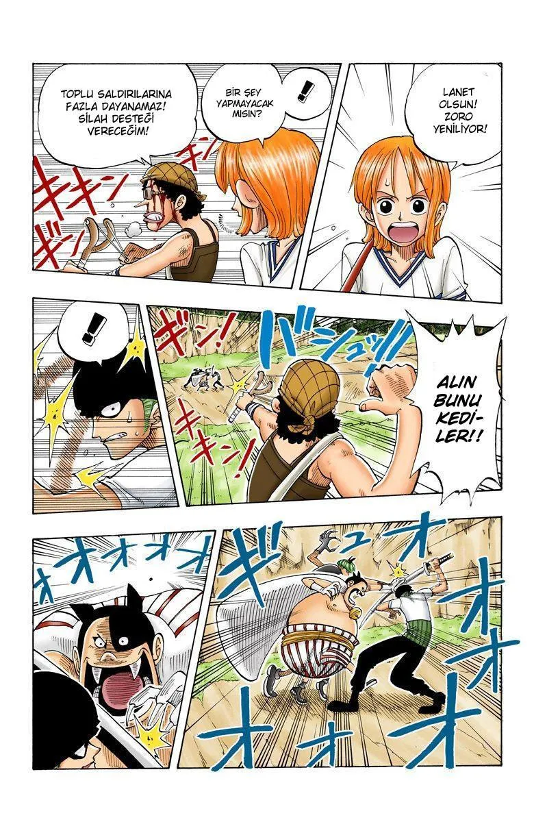 One Piece [Renkli] - Sayfa 13