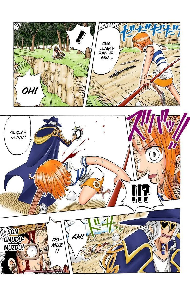 One Piece [Renkli] - Sayfa 18