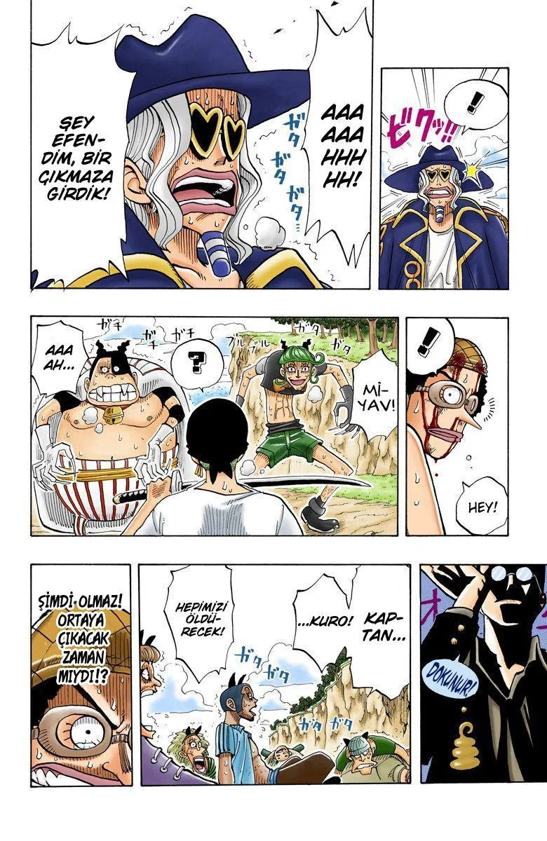 One Piece [Renkli] - Sayfa 19