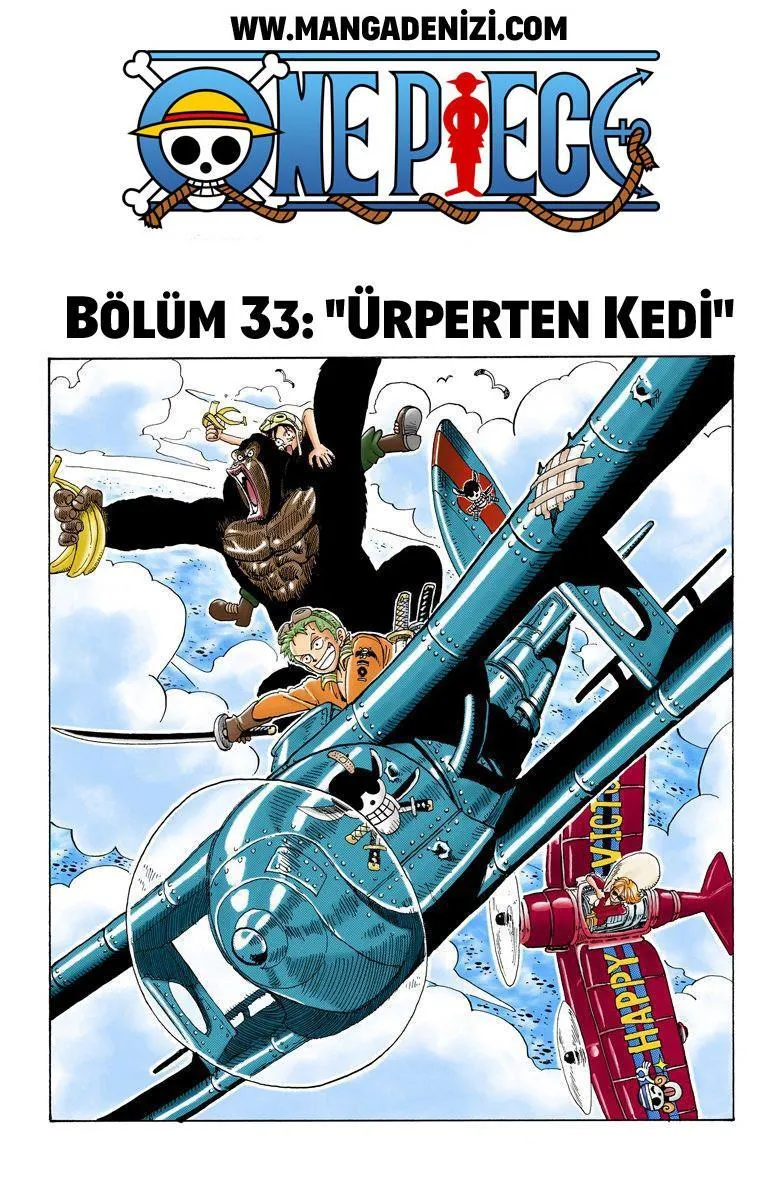 One Piece [Renkli] - Sayfa 2