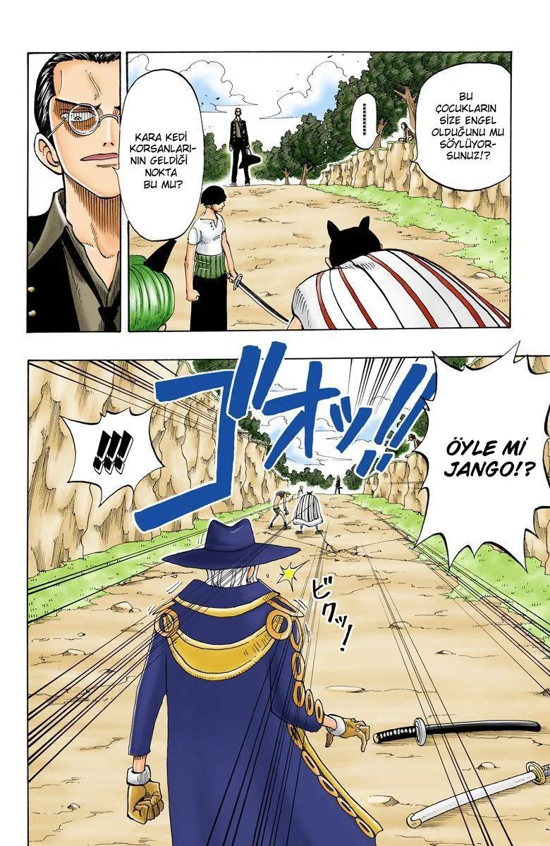 One Piece [Renkli] - Sayfa 3