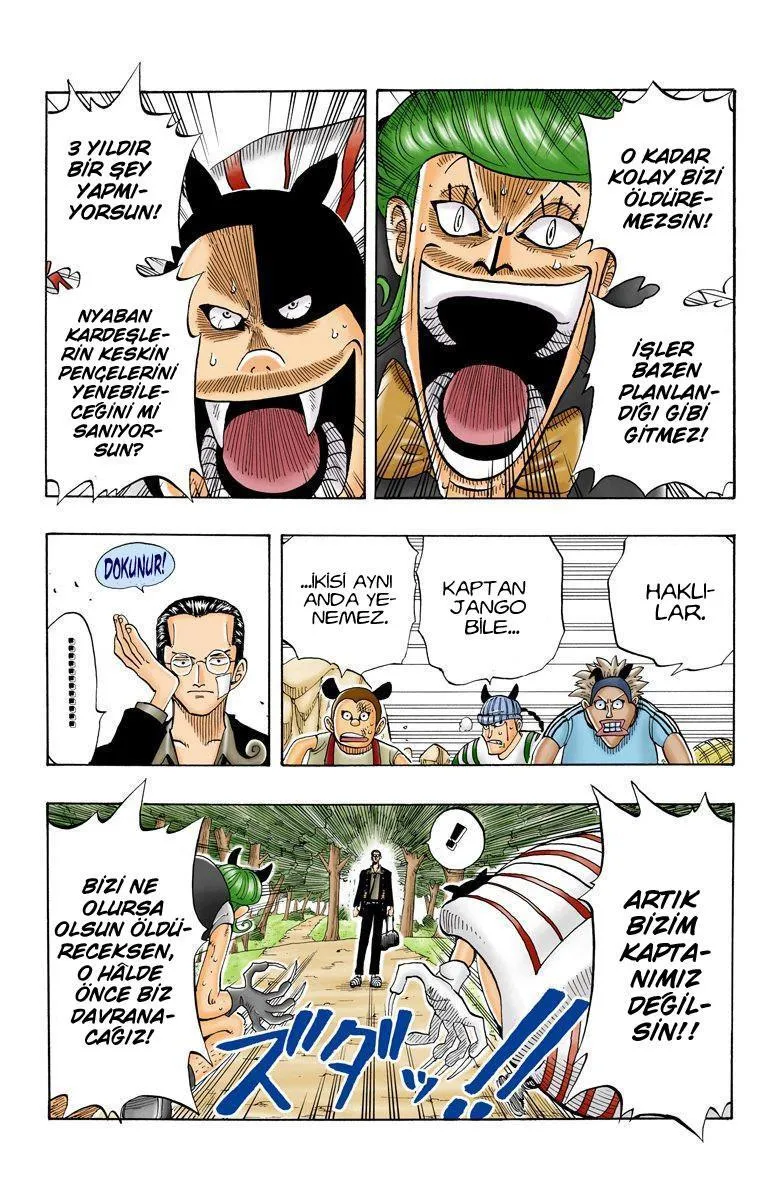 One Piece [Renkli] - Sayfa 6